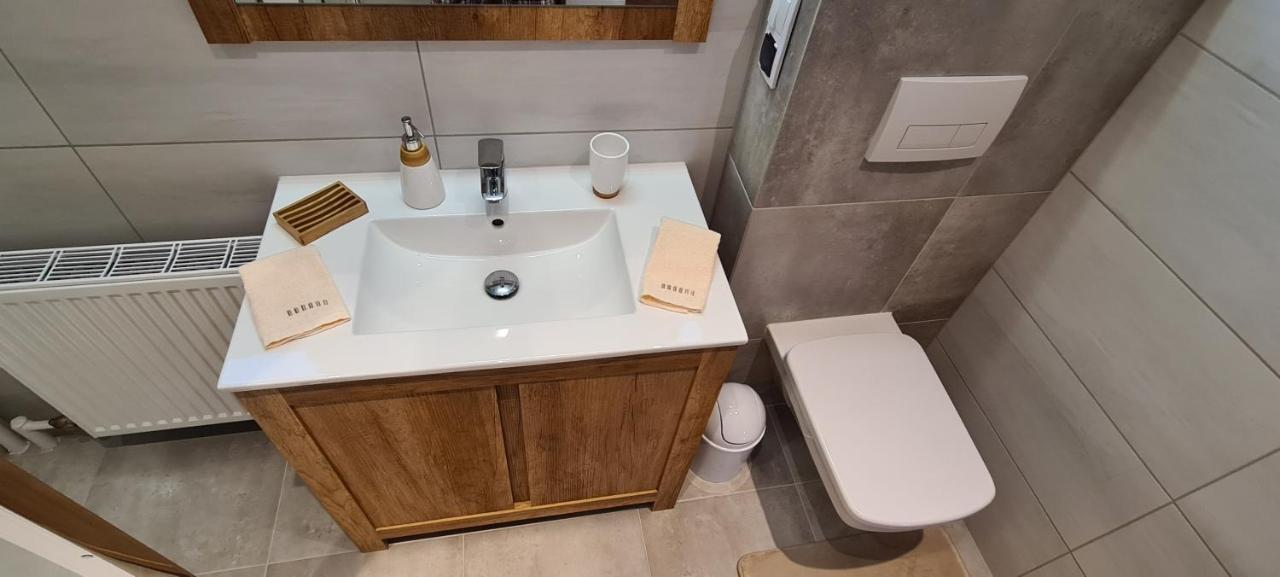 Apartamenty Skalna Chata ザコパネ エクステリア 写真