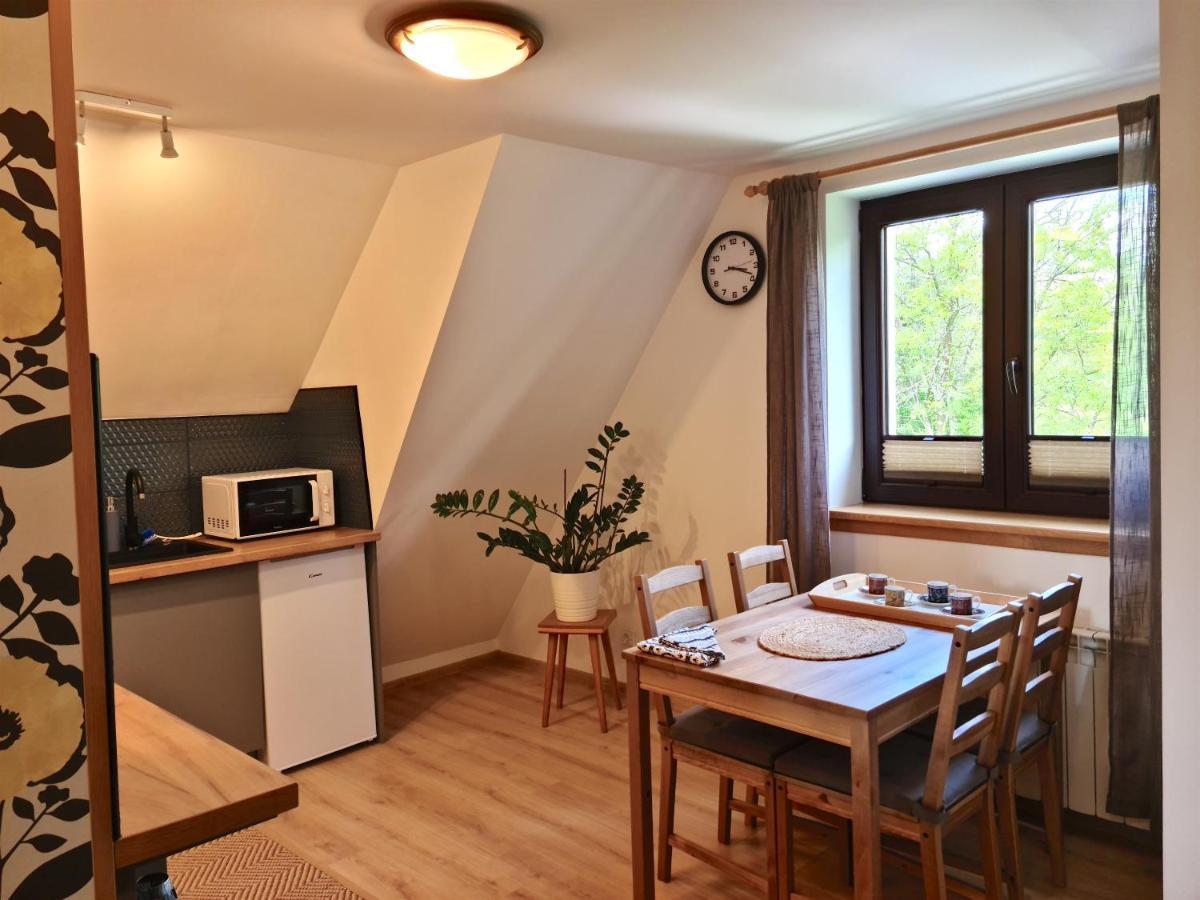 Apartamenty Skalna Chata ザコパネ エクステリア 写真